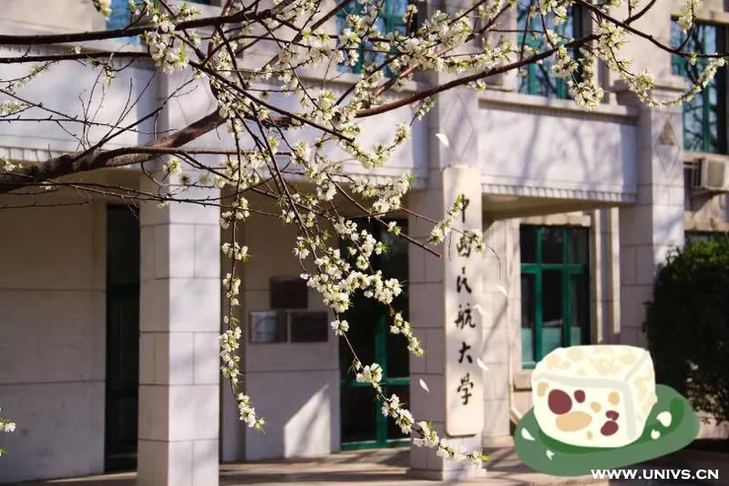 春季特制雪酥
上新了!
这里不仅有美景
而且还有美食
来自中航大春季特制雪花酥
配以梨花的清香和初春的阳光
香甜浓郁，酥脆可口
乃是学习娱乐，出行游玩的必备佳品
你知道里面藏着什么吗?
不如自己亲自来品一下