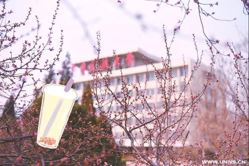 芝士莓莓果茶
“我说你是人间的四月天； 
笑响点亮了四面风； 
轻灵在春的光艳中交舞着变。”
听说:人间四月芳菲尽?
但中航大的校花们却刚开始争奇斗艳
芬芳的海棠，娇羞的桃花
高雅的玉兰，热情的迎春花...
哪个更让你心动呢?
香浓的芝士配以鲜美的草莓
再加上中航大独特的花汁
更是来自春天的独特福利!
赶紧安排一杯限定的芝士莓莓果茶!
在中航大邂逅一次春季最美的告白!