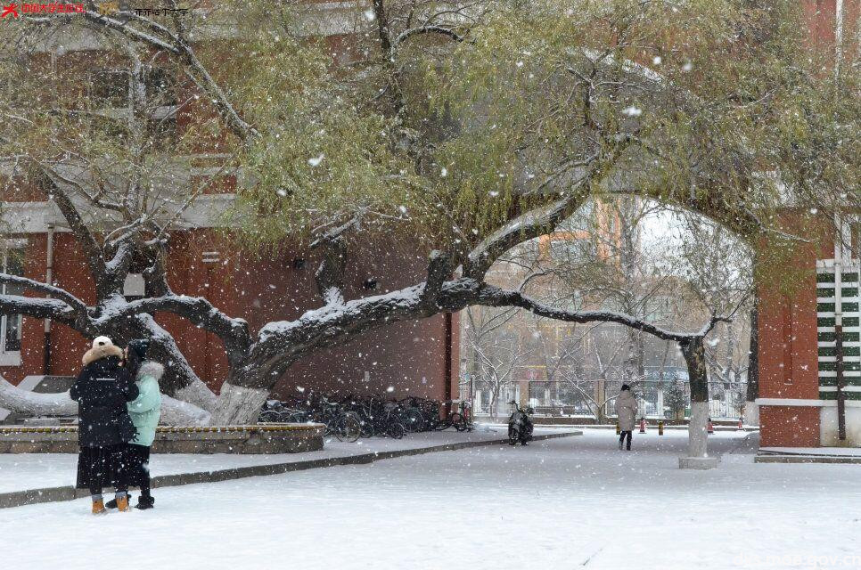 小雪才降,装点美丽齐大 齐齐哈尔大学 中国大学生在线