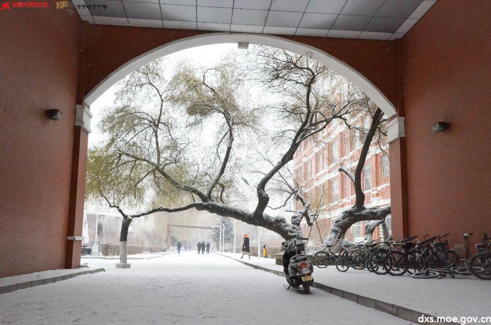 小雪才降,装点美丽齐大 齐齐哈尔大学 中国大学生在线