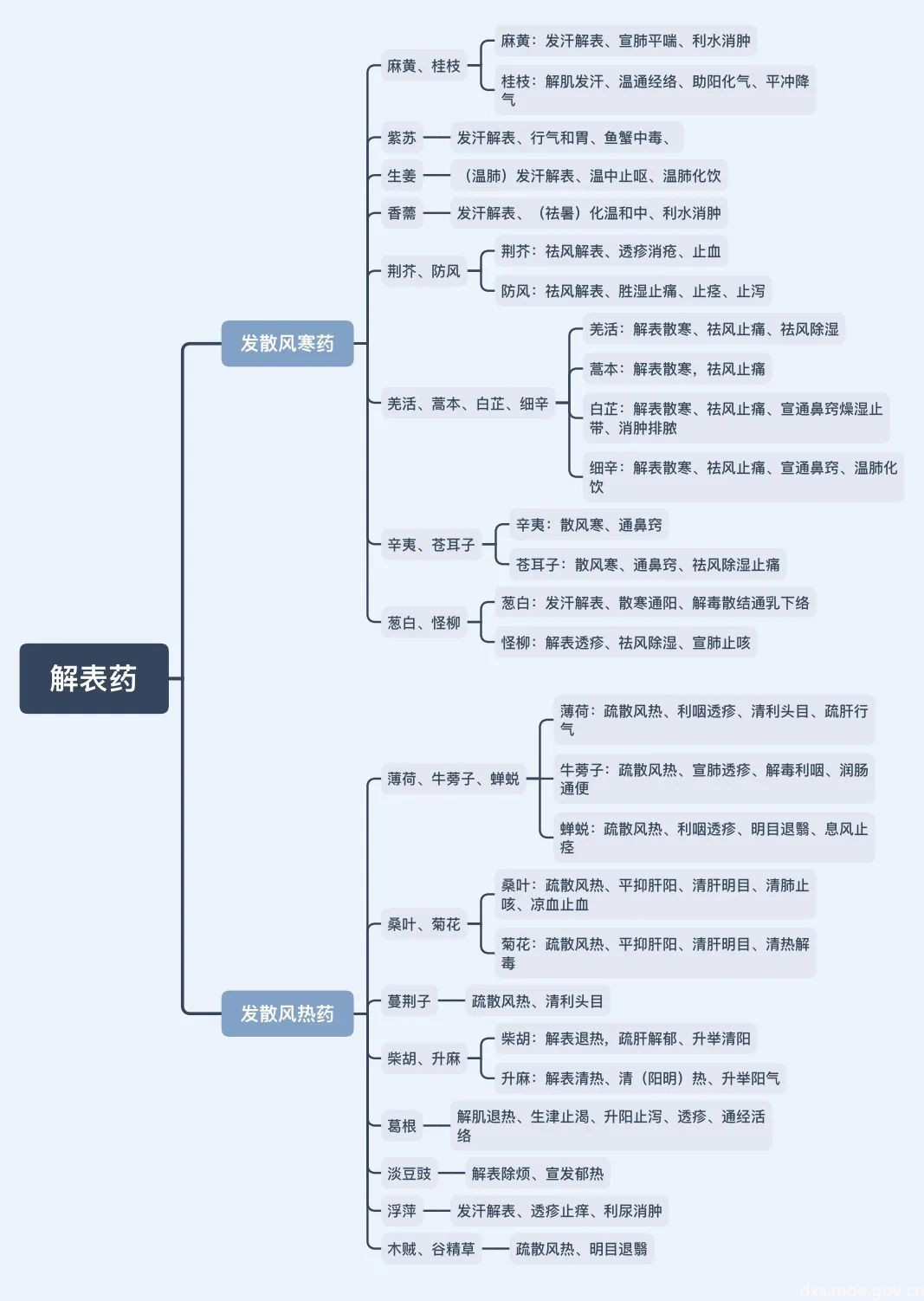 周蕾为同学们制作的专业知识点思维导图