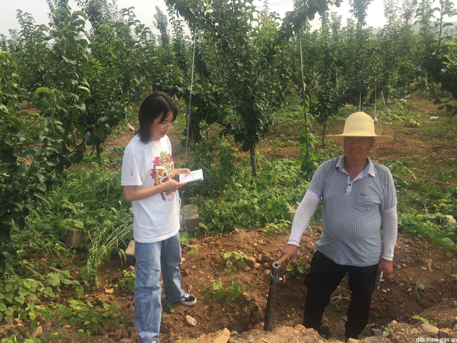 乡村振兴山东大学生走进农耕灌溉调研滴灌模式的利与弊