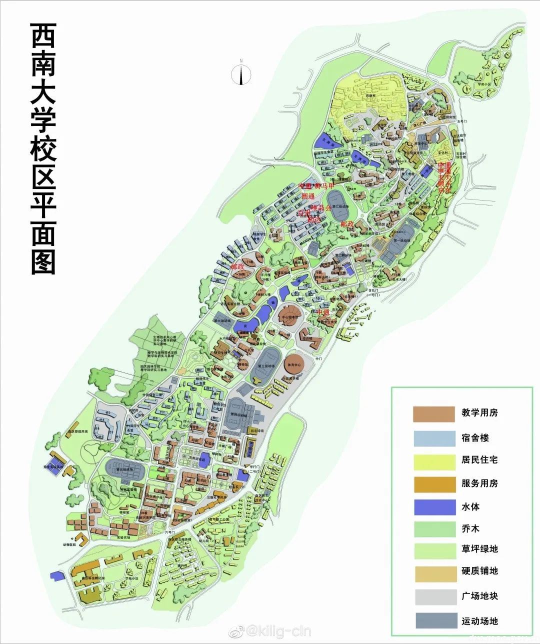 西大新小学 学长学姐 有话说 西南大学 中国大学生在线