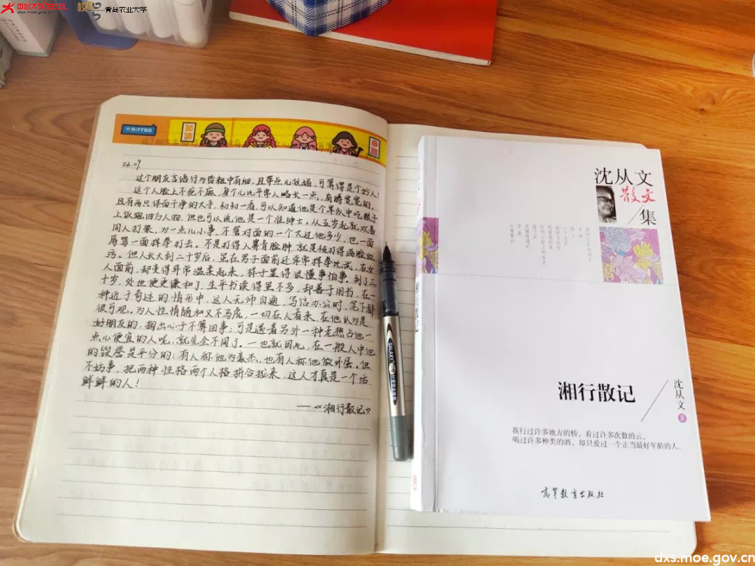 图片3.png 图片3.png