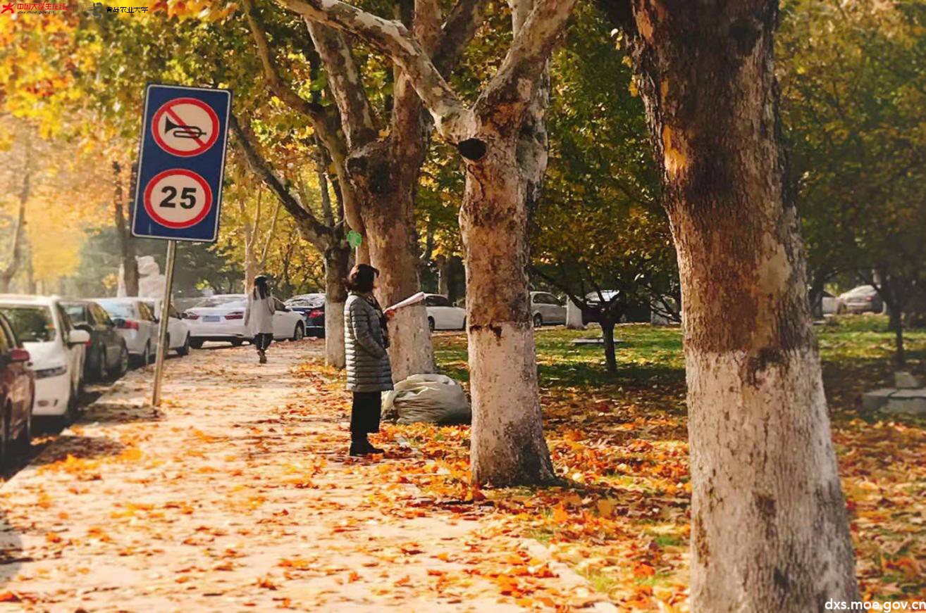 图片4.png 图片4.png