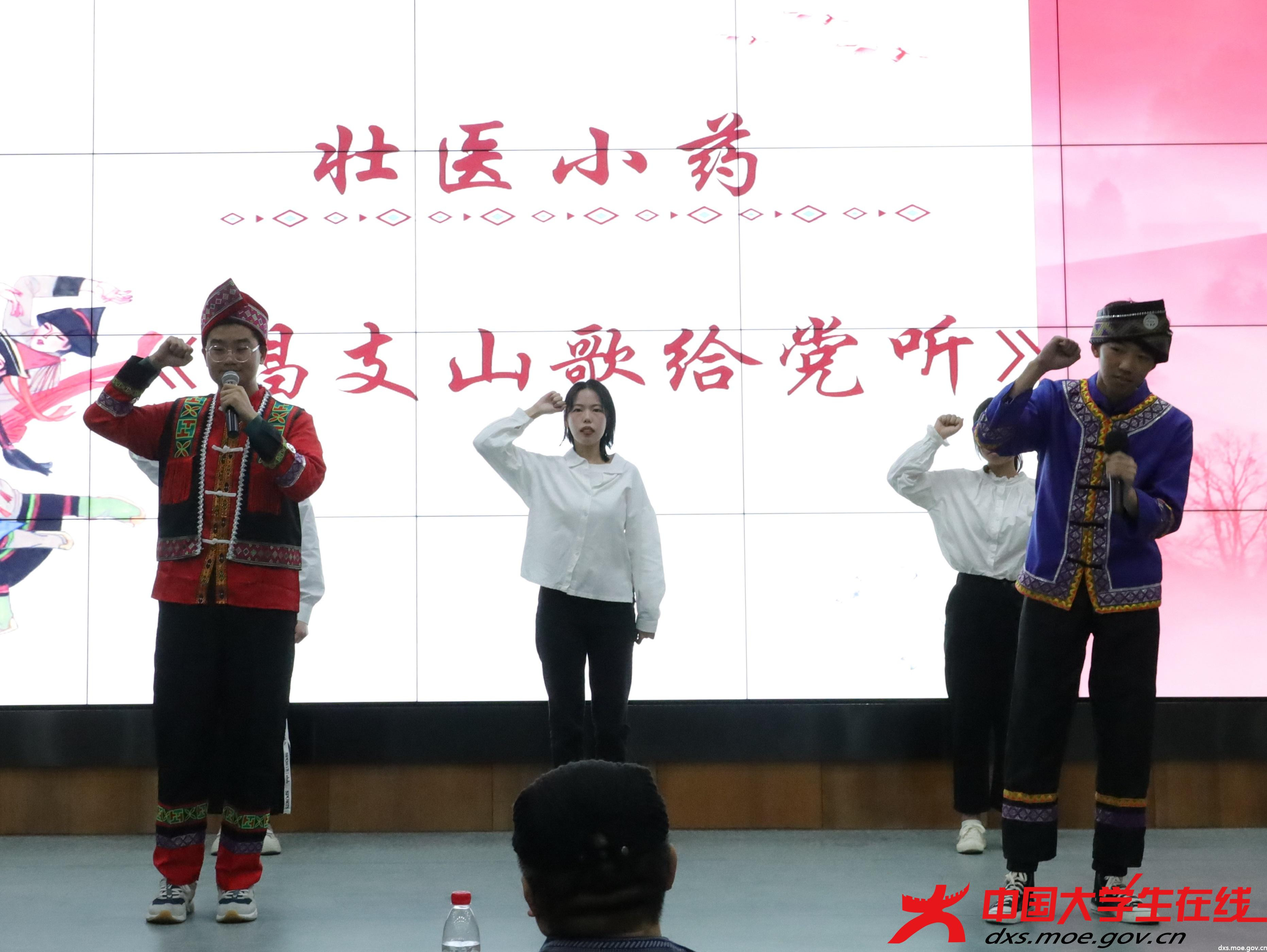 壮医小药队歌唱山歌 李兴鹏摄.jpg