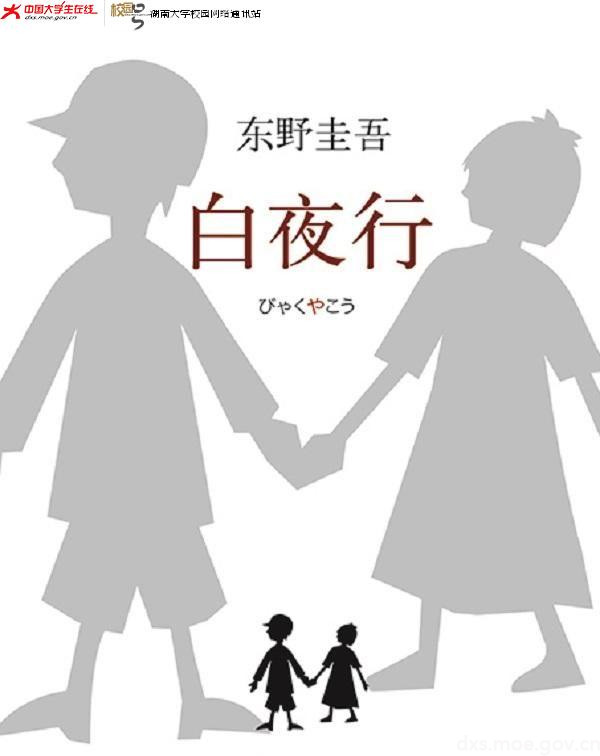 loststars迷失的星星读白夜行有感