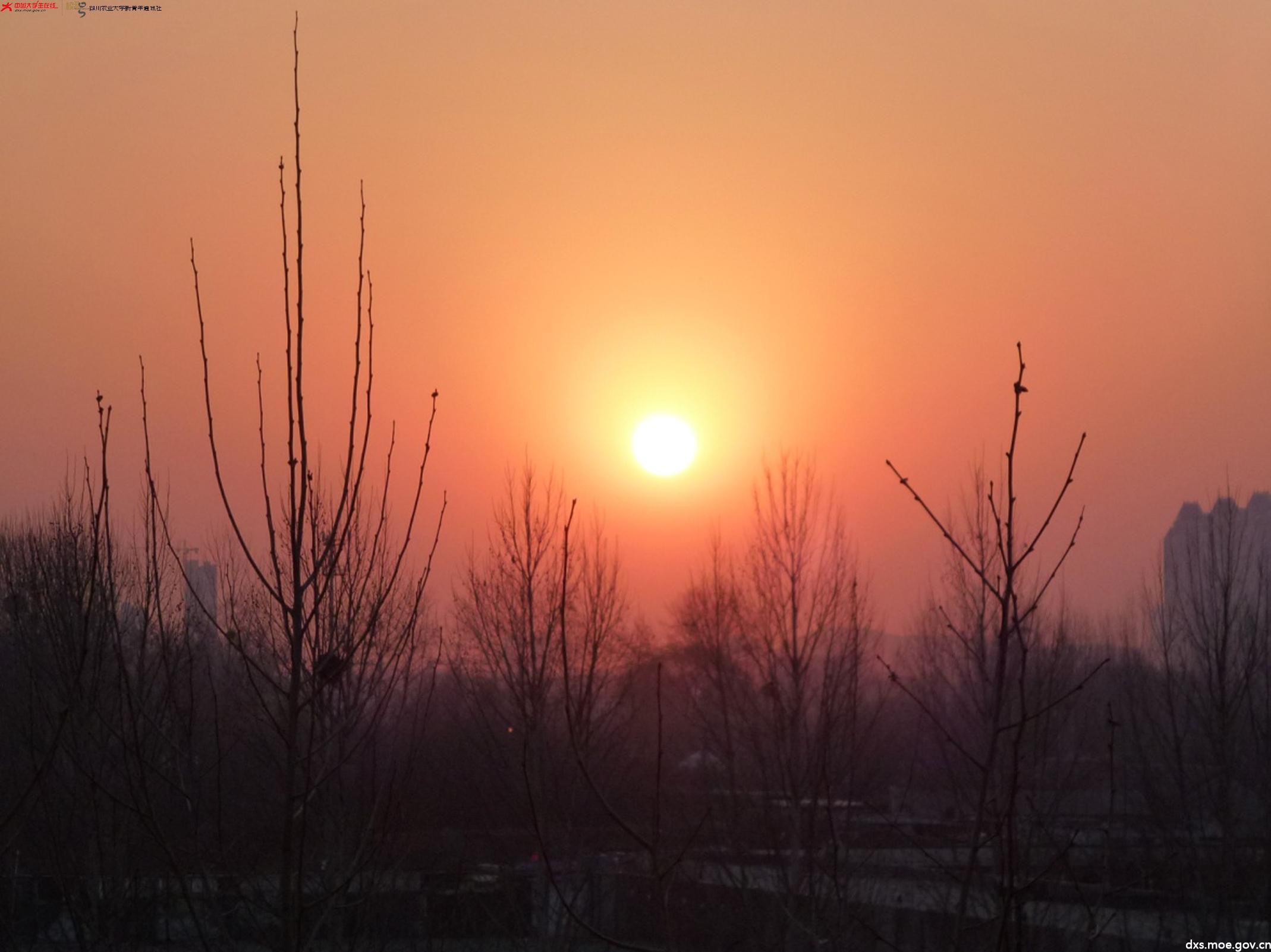 "东方红,太阳升",城市从黑夜中苏醒,祥和的天空,美好的早晨.李雅如 摄