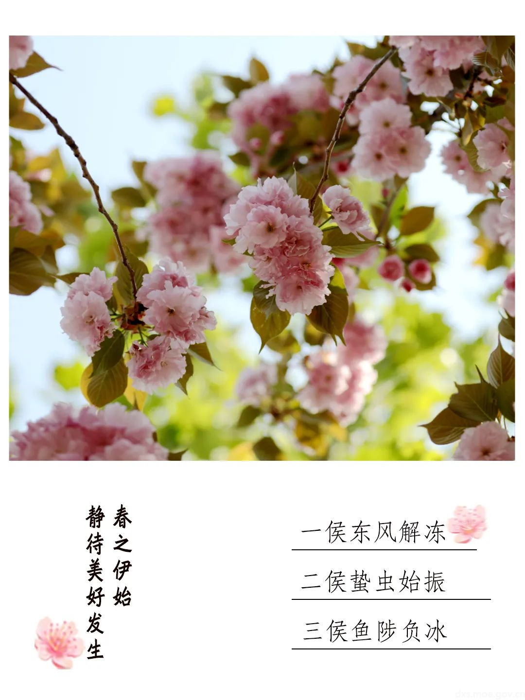 春回大地 万象更新尝第一口春 见久违的人一起目睹立春带来的万象更新