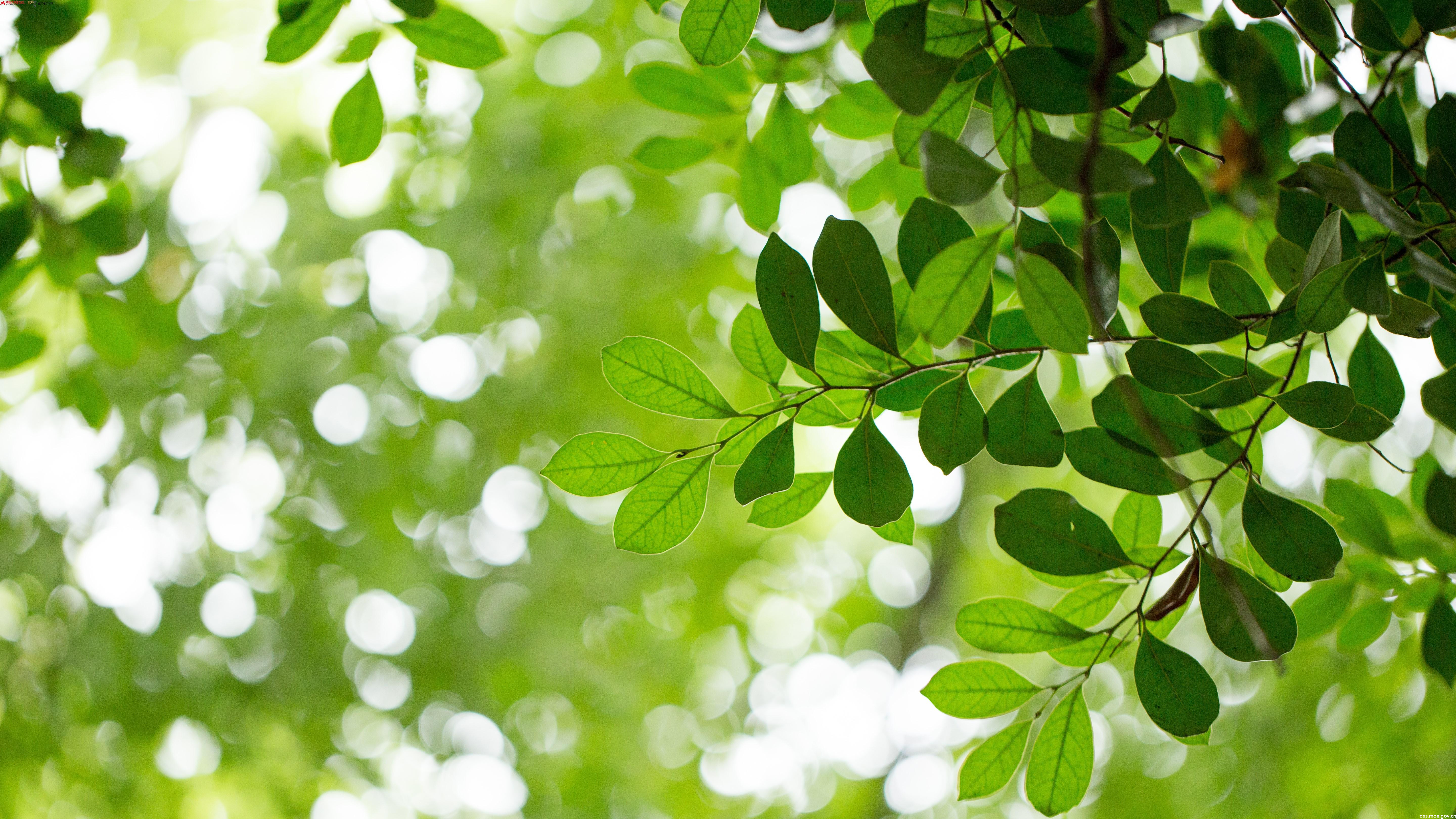 春日缓缓来不负好春光