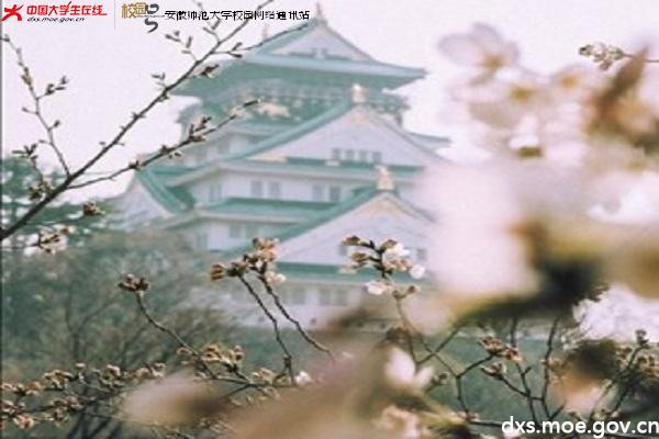 图片4.jpg 图片4.jpg