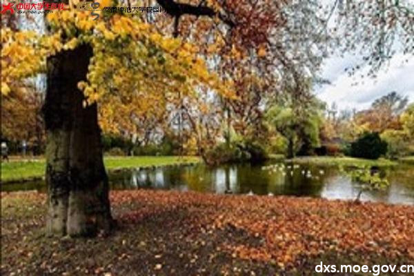 图片5.jpg 图片5.jpg