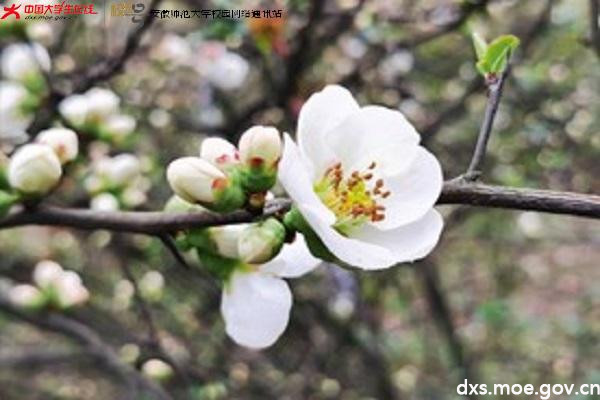 图片6.jpg 图片6.jpg