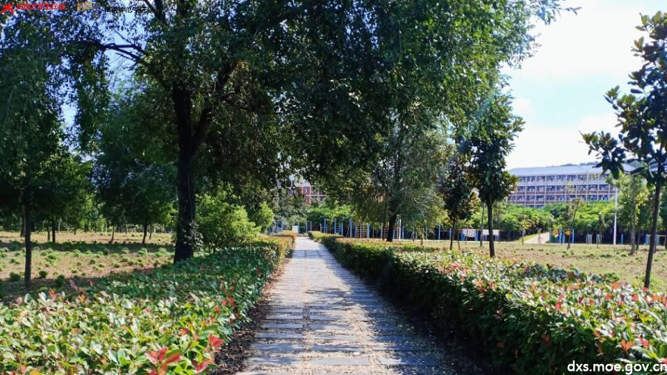 QQ图片20210218225224.jpg QQ图片20210218225224.jpg