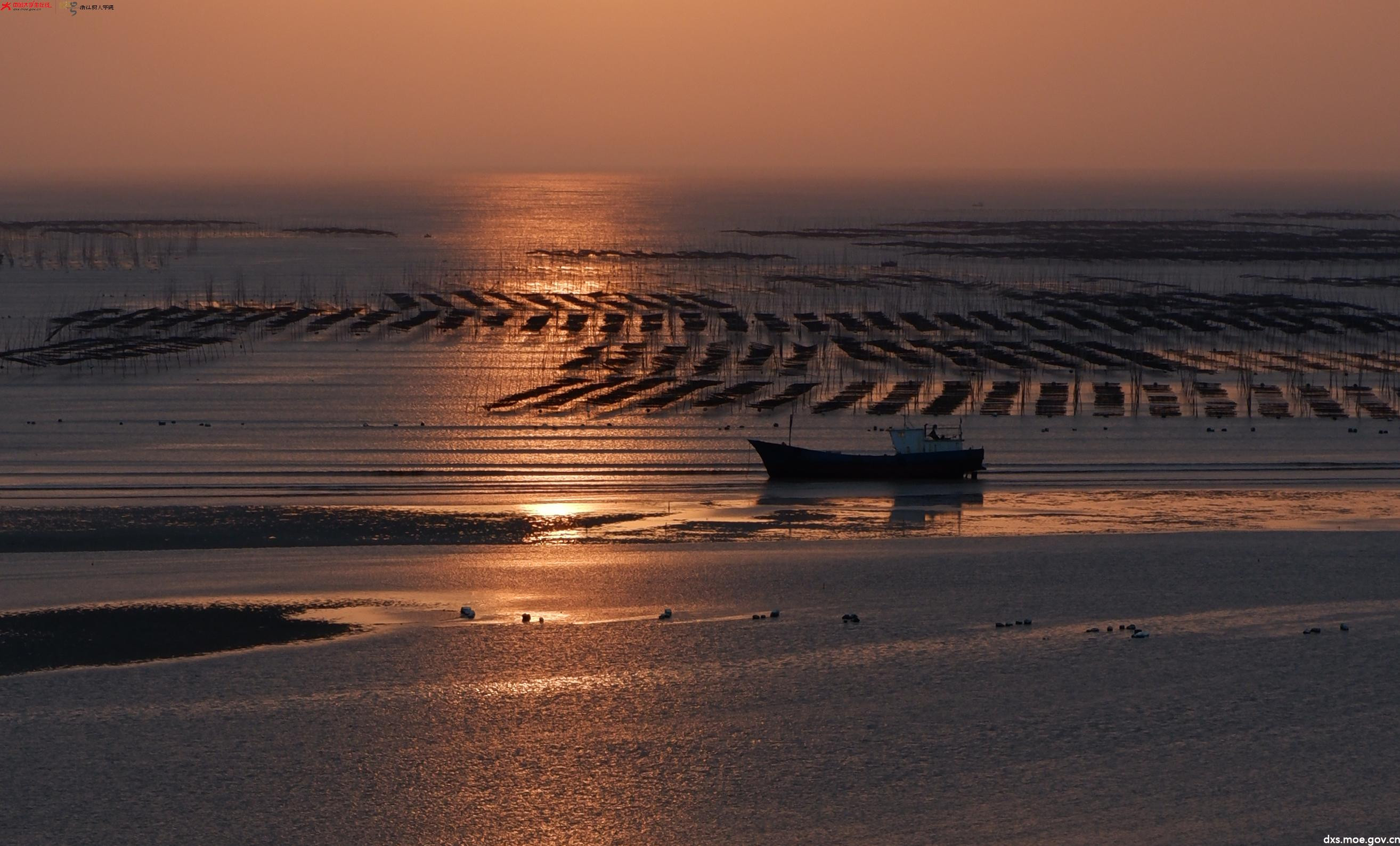 海上渔歌与广阔的滩涂风光