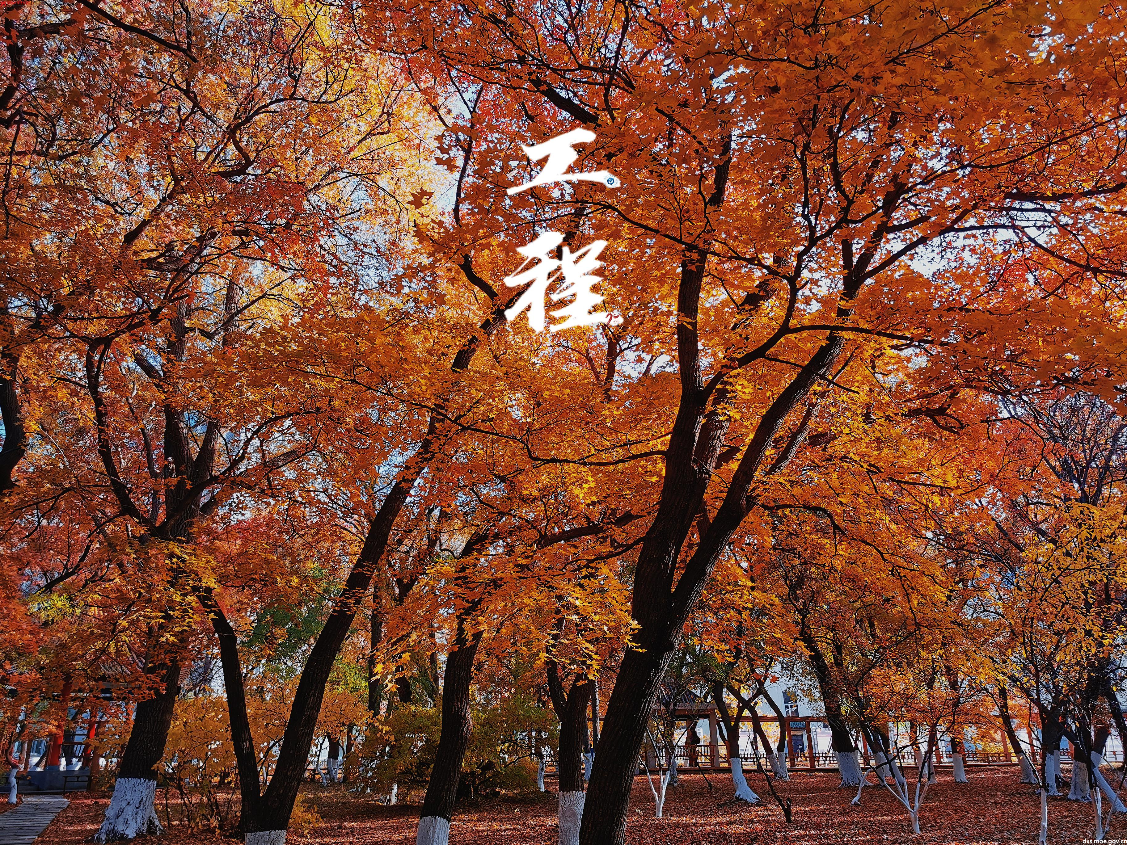迎长工程70周年校庆回忆录