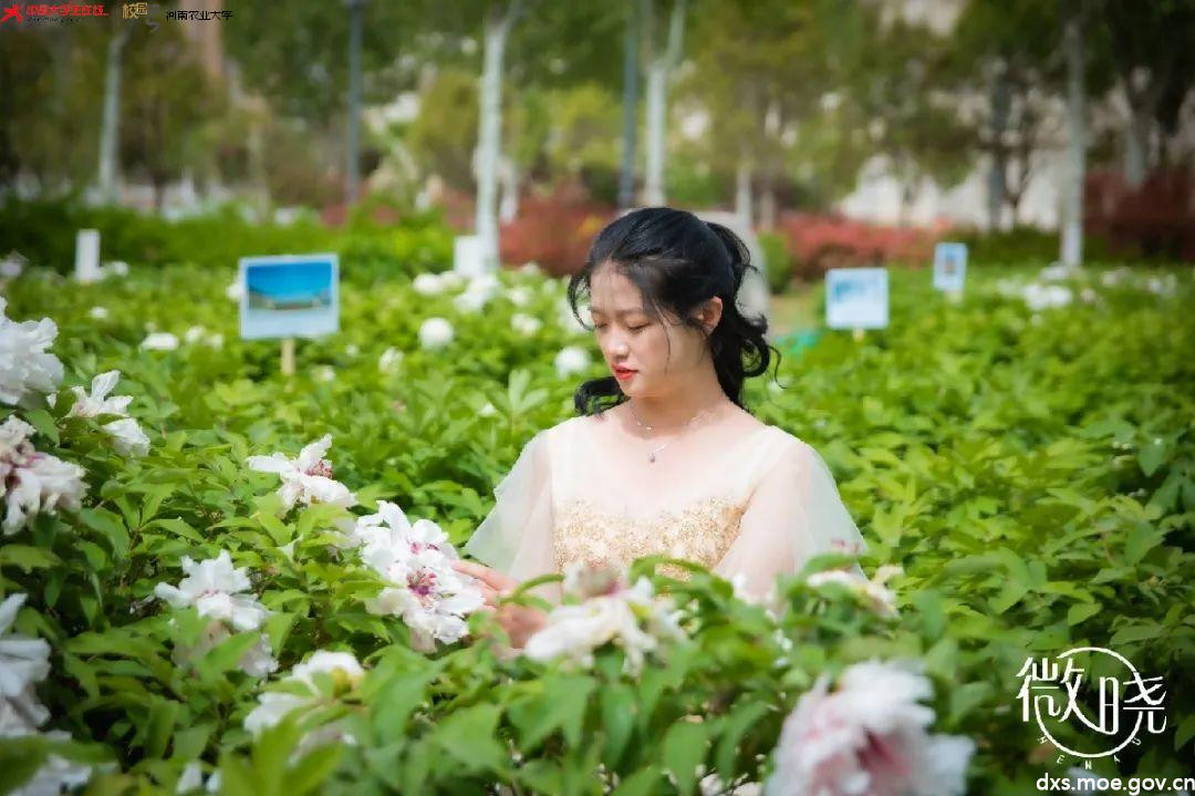 微信图片_20210417213556.jpg 微信图片_20210417213556.jpg