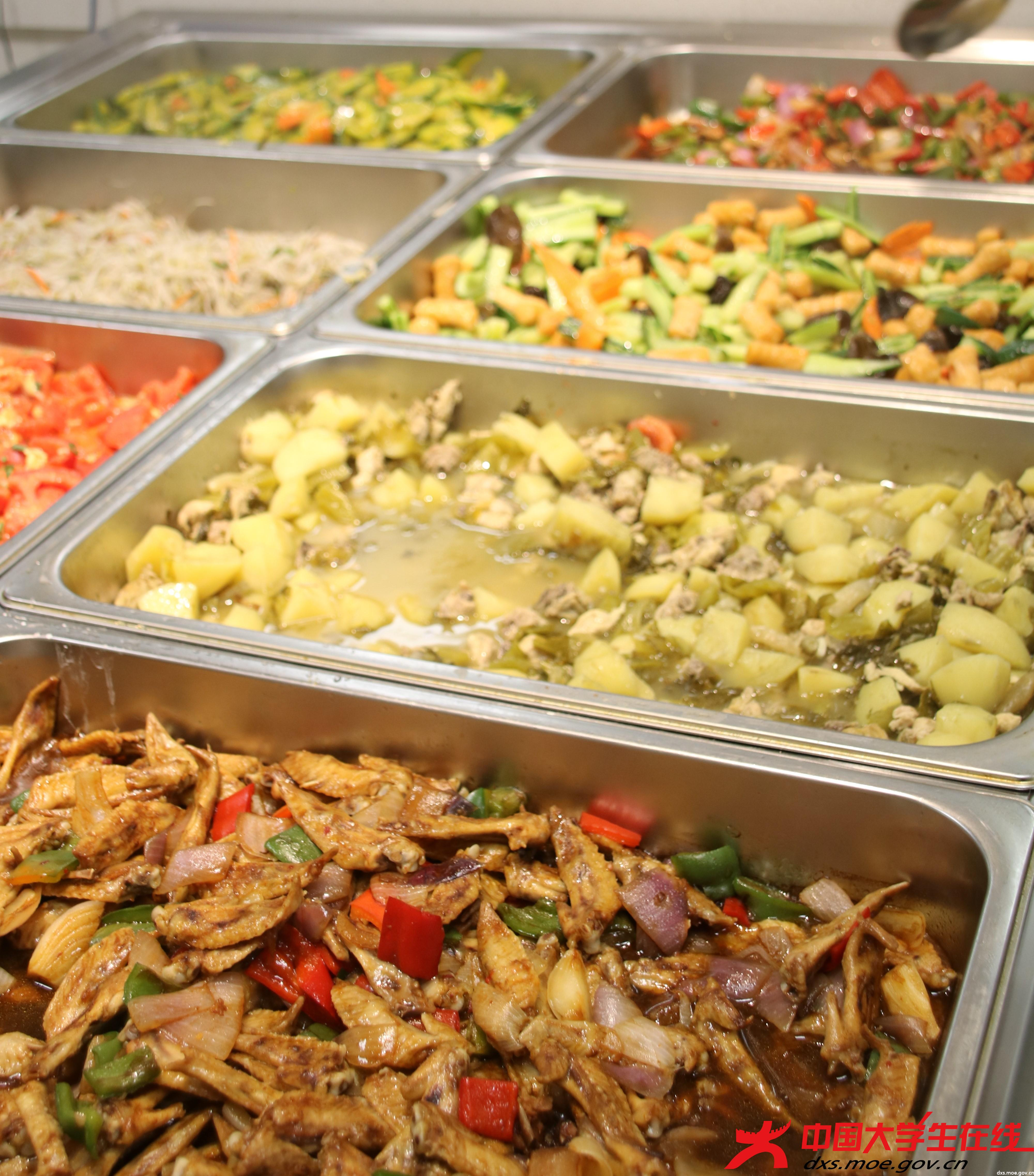 起了长队,大盘鸡,红烧肉排,贡丸,番茄炒蛋,酸辣土豆丝等菜式应有尽有