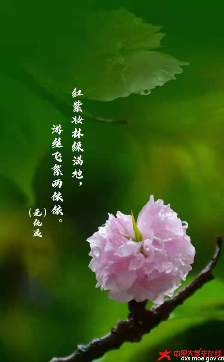 微信图片_20210421232400.jpg 微信图片_20210421232400.jpg