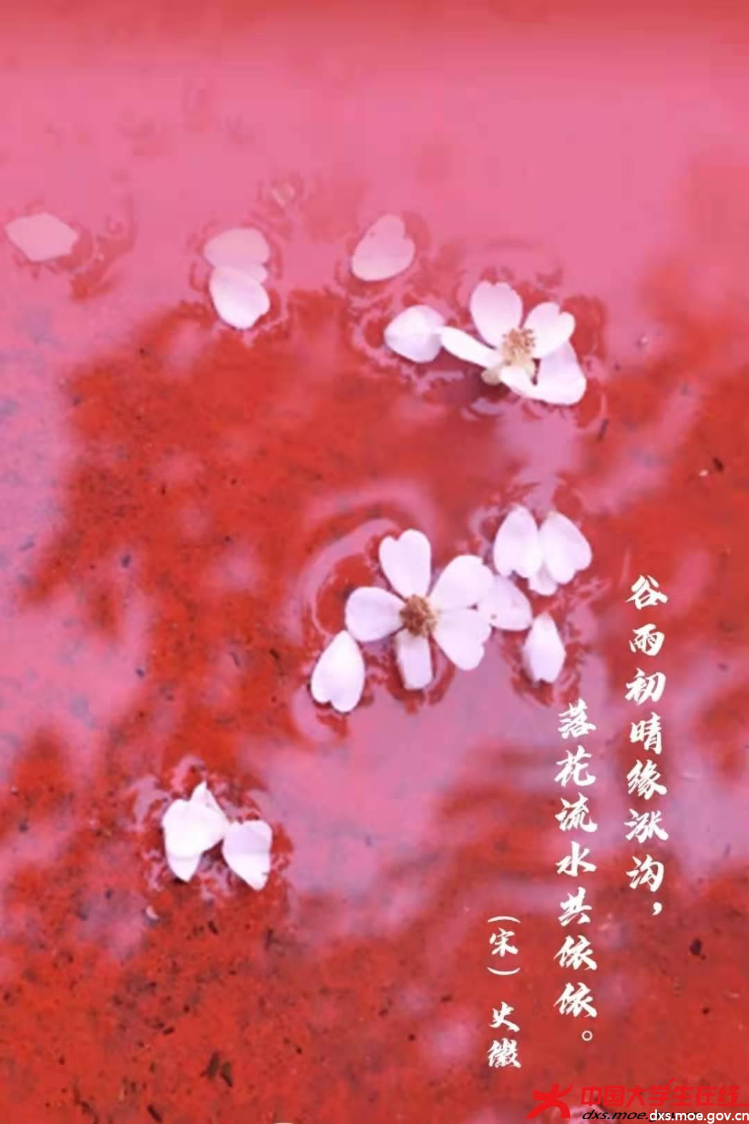 微信图片_20210421232611.jpg 微信图片_20210421232611.jpg