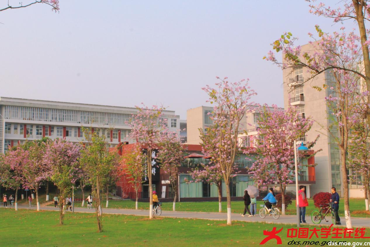 花枝春野——相约师大共赏春色 - 广西师范大学 - 中国大学生在线