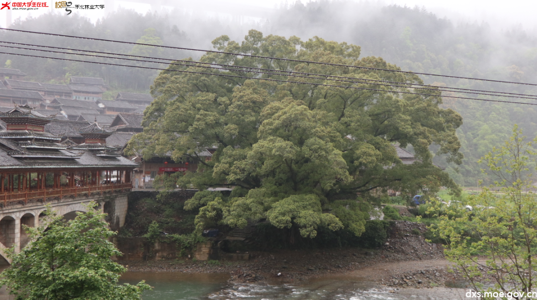 微信图片_20210418195018.png 微信图片_20210418195018.png