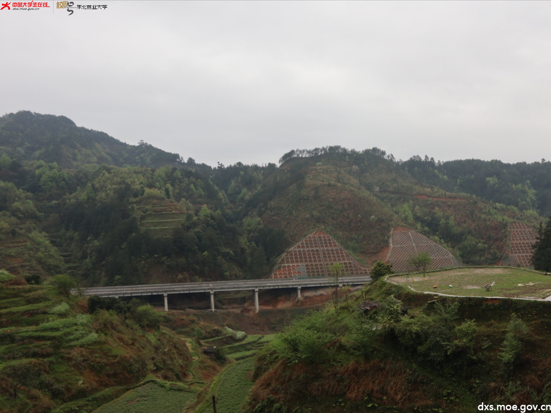 微信图片_20210418195109.png 微信图片_20210418195109.png