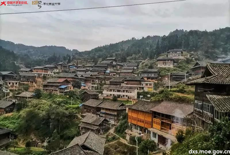 微信图片_20210418195114.jpg 微信图片_20210418195114.jpg