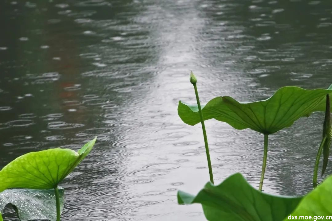 二十四节气小满将满未满