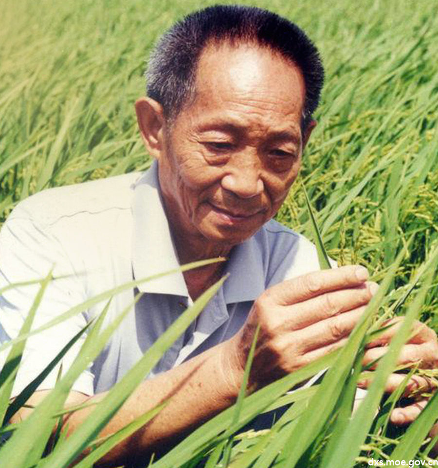 袁隆平吴孟超逝世：愿世间如你们所愿“医食无忧” - 淮南师范学院- 中国 