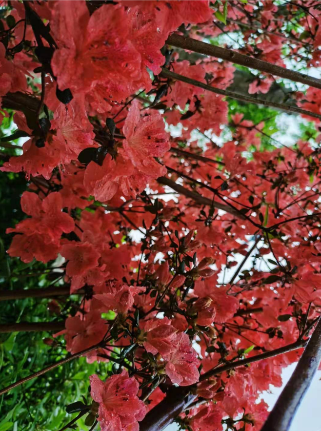 屏幕截图 2021-04-23 232432.png