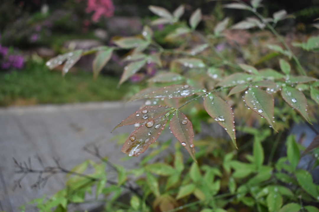 屏幕截图 2021-04-23 221758.png