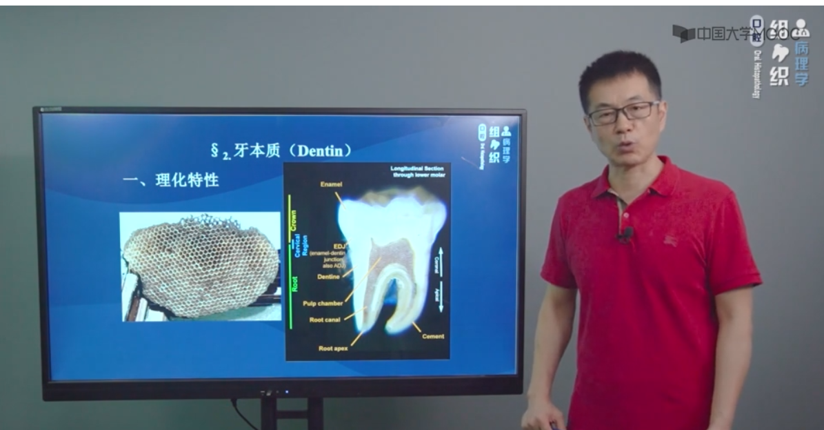 MOOC简介——口腔组织病理学- 长春工程学院校网通站- 中国大学生在线