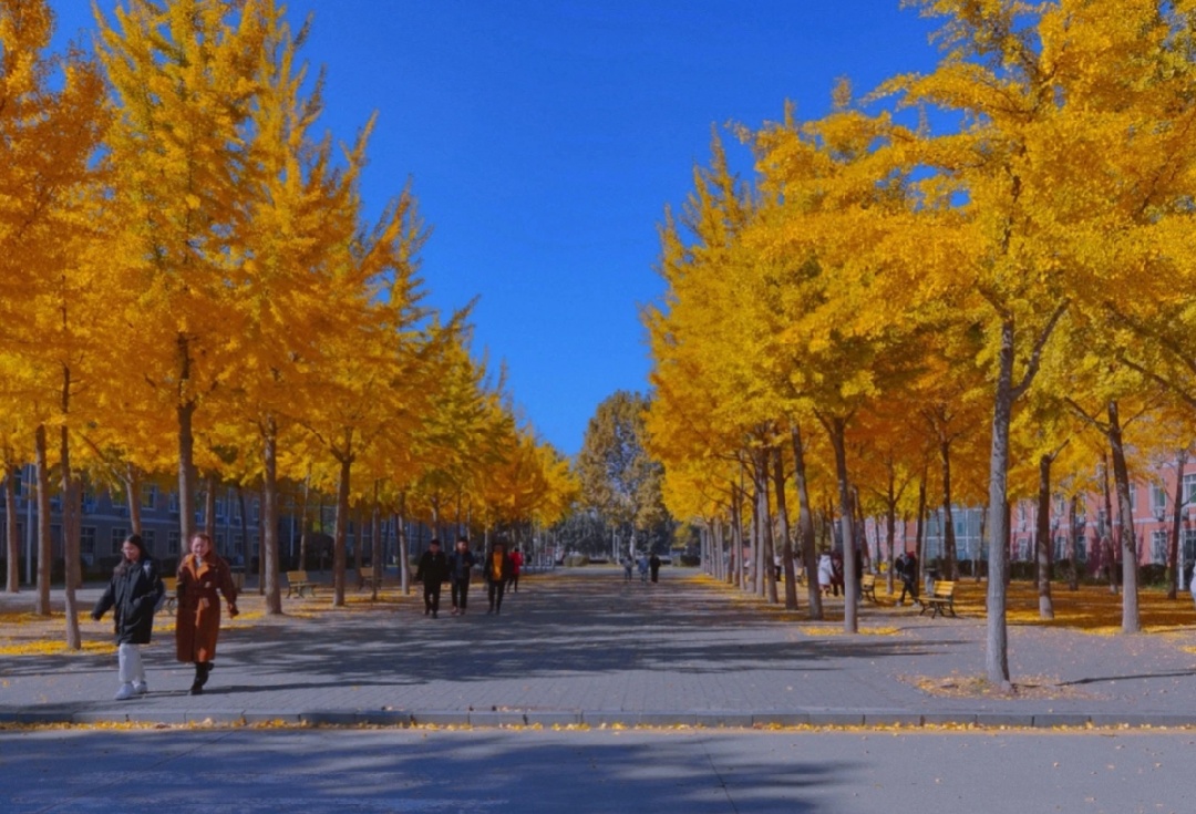 河北大学毓秀园图片